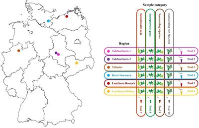 Investigating the Pea Virome in Germany—Old Friends and New Players in the Field(s)